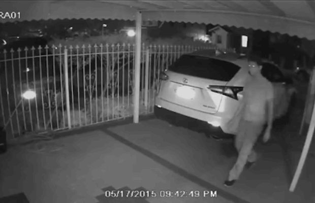 Lexus NX kradzież